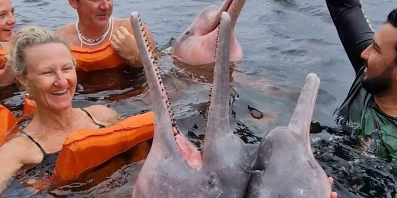 nado-com-botos-manaus
